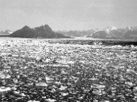 alaska798