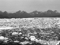 alaska807