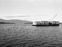 alaska814