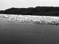 alaska824