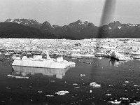 alaska825