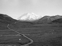 alaska853