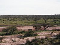 img3200dpi-color48463