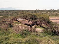img3200dpi-color48465