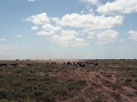 img3200dpi-color48530