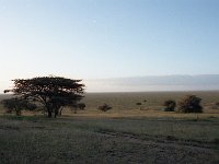 img3200dpi-color48538