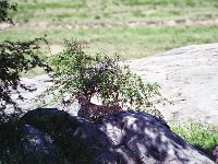 img3200dpi-color48550