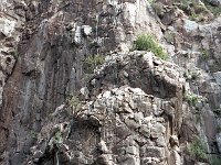 img3200dpi-color48610