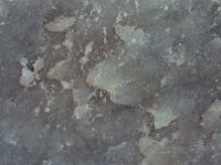 img3200dpi-color48615