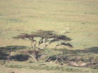img3200dpi-color48625