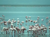 img3200dpi-color48641