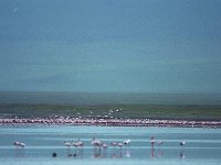 img3200dpi-color48642