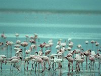 img3200dpi-color48643