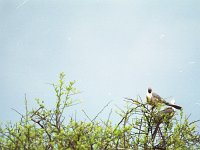 img3200dpi-color48700