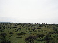 img3200dpi-color48711