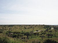 img3200dpi-color48713