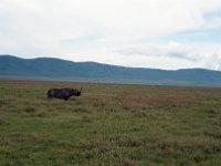 img3200dpi-color48729