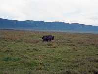 img3200dpi-color48731