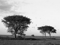 img3200dpi-bw16gs140