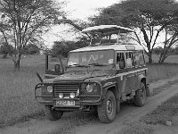 img3200dpi-bw16gs141