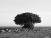 img3200dpi-bw16gs145