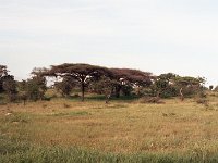 img3200dpi-color48176