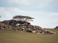 img3200dpi-color48269