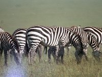 img3200dpi-color48280