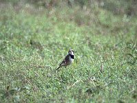 img3200dpi-color48290