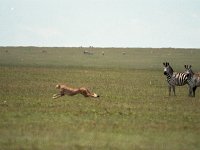 img3200dpi-color48292