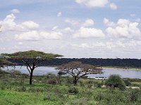 img3200dpi-color48299