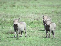 img3200dpi-color48302