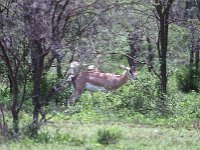 img3200dpi-color48315