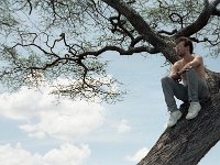 img3200dpi-color48352