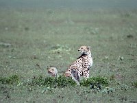 img3200dpi-color48380