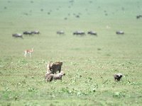 img3200dpi-color48402