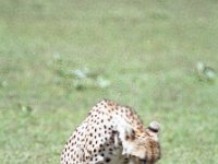 img3200dpi-color48409