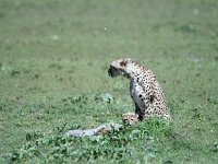 img3200dpi-color48411