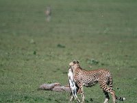 img3200dpi-color48412
