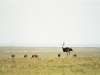 img3200dpi-color48414