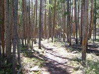 2004 0829Image0001
