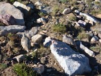 2004 0829Image0039
