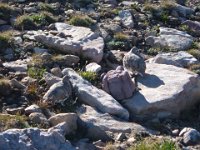2004 0829Image0040