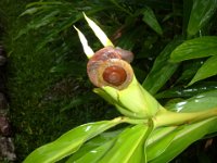 2004 0714Image0006