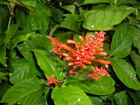 2004 0714Image0026