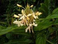 2004 0714Image0027