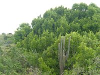 2004 0714Image0030