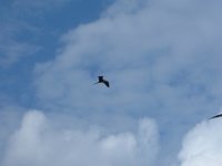 DSCF1109