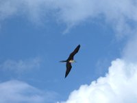 DSCF1110