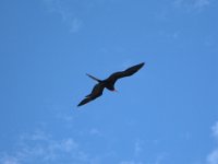 DSCF1112
